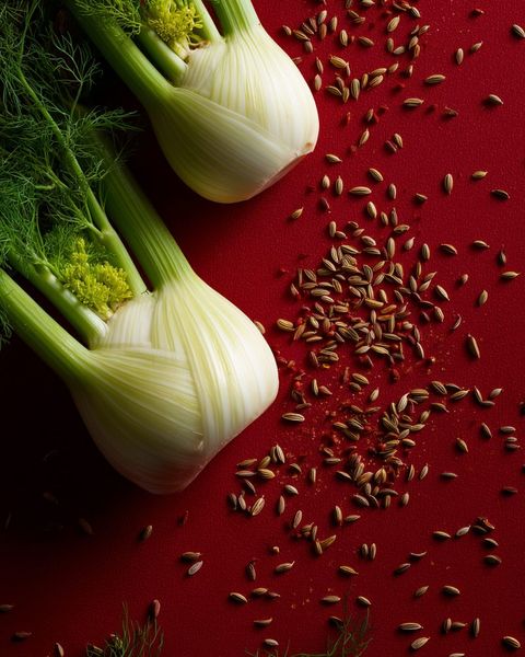 Fresh fennel bulb with feathery fronds on linen, an anti-bloating ingredient in our beef bone broth