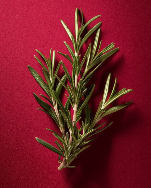 Fresh rosemary sprigs on pale linen, an antioxidant herb in our fennel, sage and rosemary beef broth