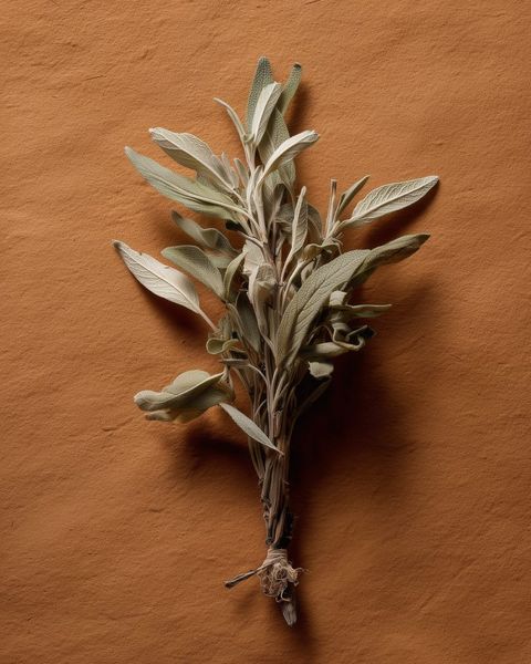Fresh sage leaves in a ceramic dish, the bitter digestive herb simmered into our beef bone broth