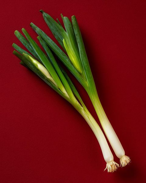 Fresh spring onions on linen, charred for sweetness in our ginger, spring onion and shiitake broth